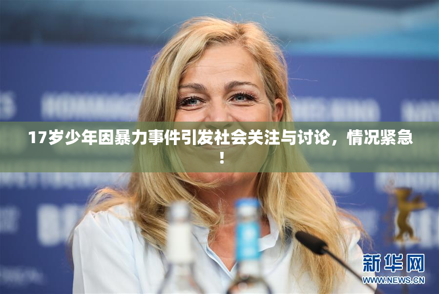 17岁少年因暴力事件引发社会关注与讨论，情况紧急！
