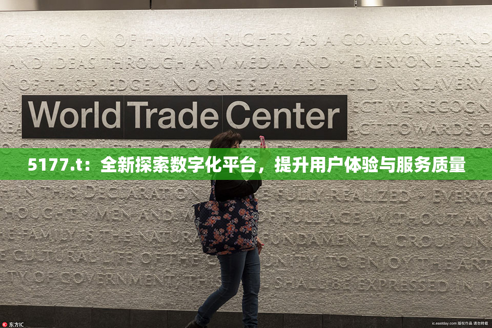 5177.t：全新探索数字化平台，提升用户体验与服务质量