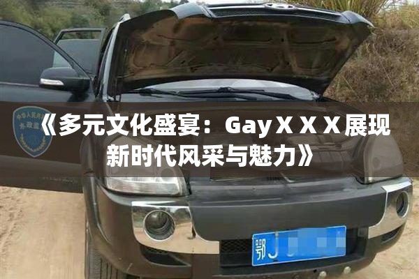 《多元文化盛宴：GayⅩⅩⅩ展现新时代风采与魅力》