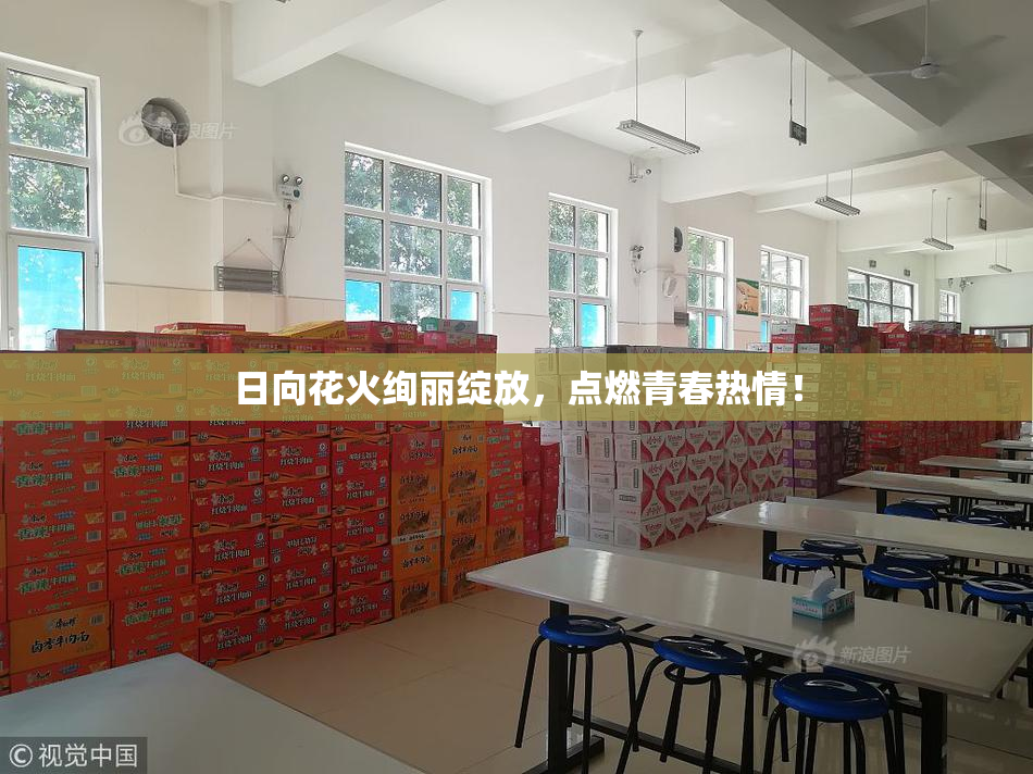 日向花火绚丽绽放，点燃青春热情！
