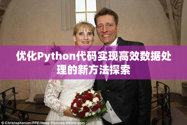 优化Python代码实现高效数据处理的新方法探索