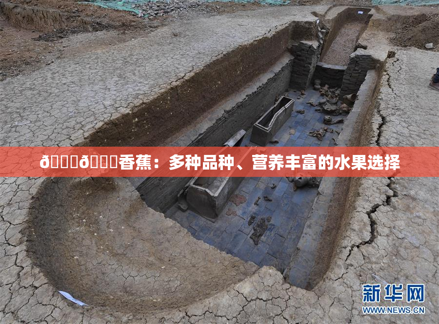 🔞🔞香蕉：多种品种、营养丰富的水果选择
