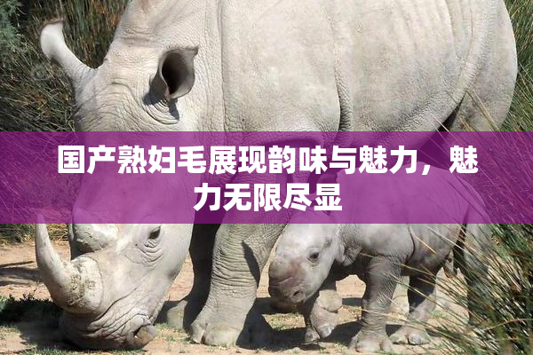 国产熟妇毛展现韵味与魅力，魅力无限尽显