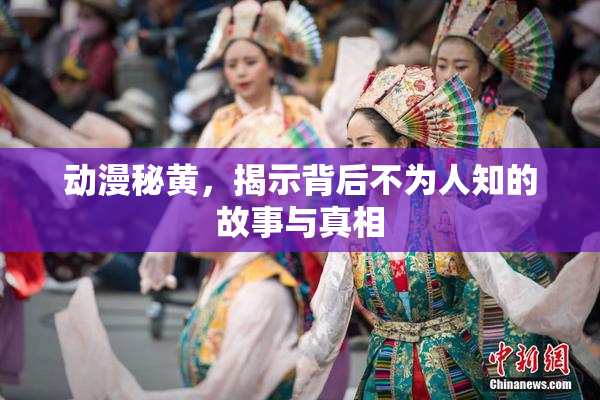 动漫秘黄，揭示背后不为人知的故事与真相