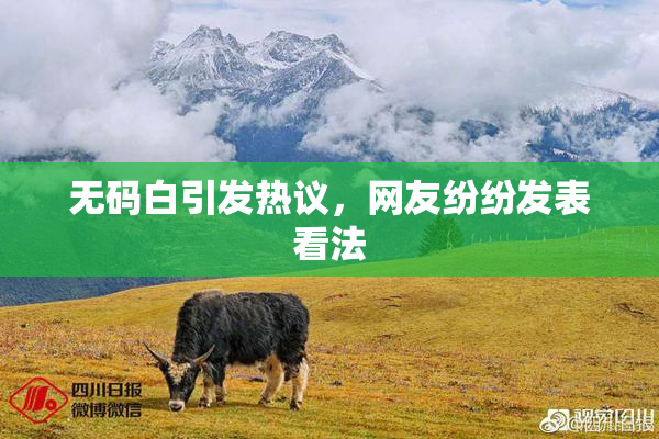 无码白引发热议，网友纷纷发表看法