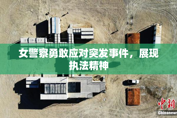 女警察勇敢应对突发事件，展现执法精神