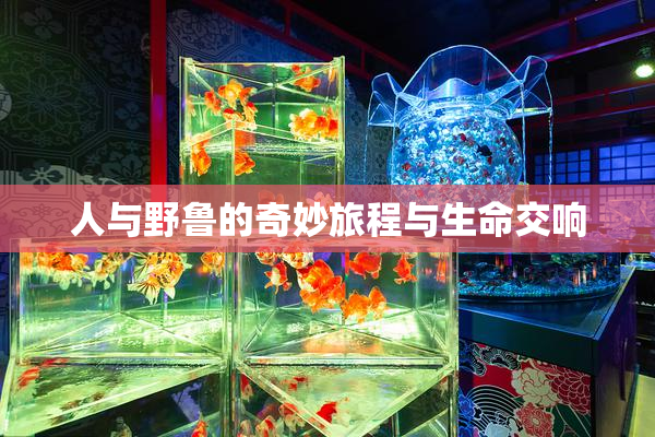 人与野鲁的奇妙旅程与生命交响