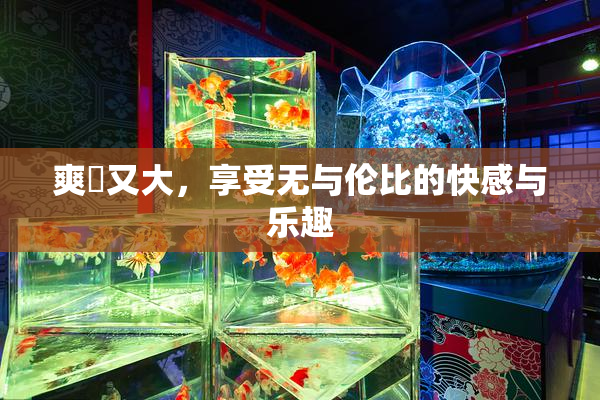 爽擼又大，享受无与伦比的快感与乐趣