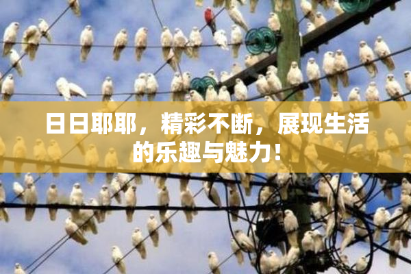 日日耶耶，精彩不断，展现生活的乐趣与魅力！