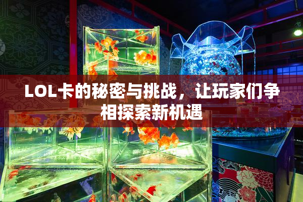LOL卡的秘密与挑战，让玩家们争相探索新机遇