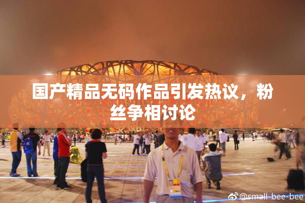 国产精品无码作品引发热议，粉丝争相讨论