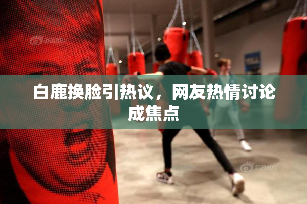 白鹿换脸引热议，网友热情讨论成焦点