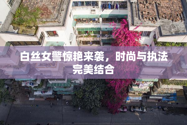 白丝女警惊艳来袭，时尚与执法完美结合