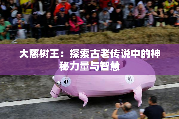 大慈树王：探索古老传说中的神秘力量与智慧
