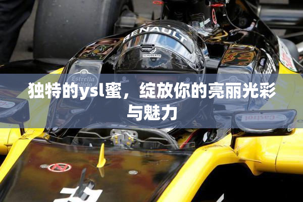 独特的ysl蜜，绽放你的亮丽光彩与魅力