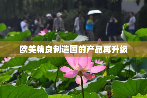欧美精良制造国的产品再升级