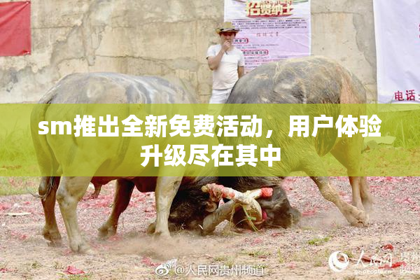sm推出全新免费活动，用户体验升级尽在其中