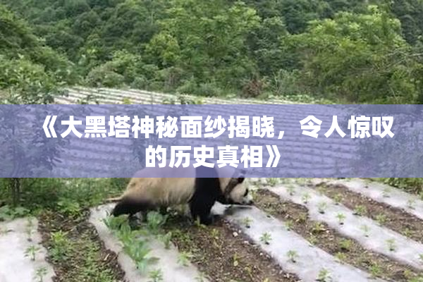 《大黑塔神秘面纱揭晓，令人惊叹的历史真相》