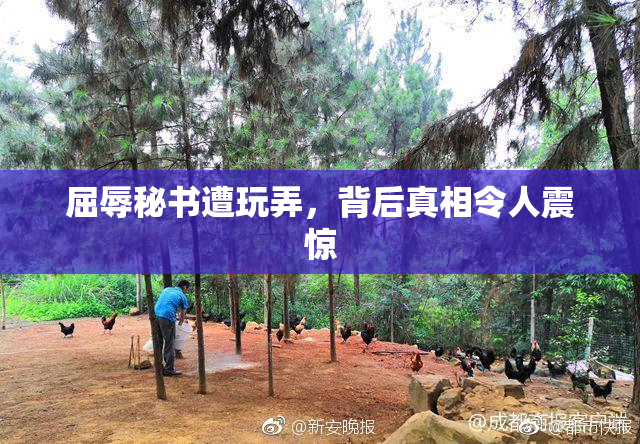 屈辱秘书遭玩弄，背后真相令人震惊