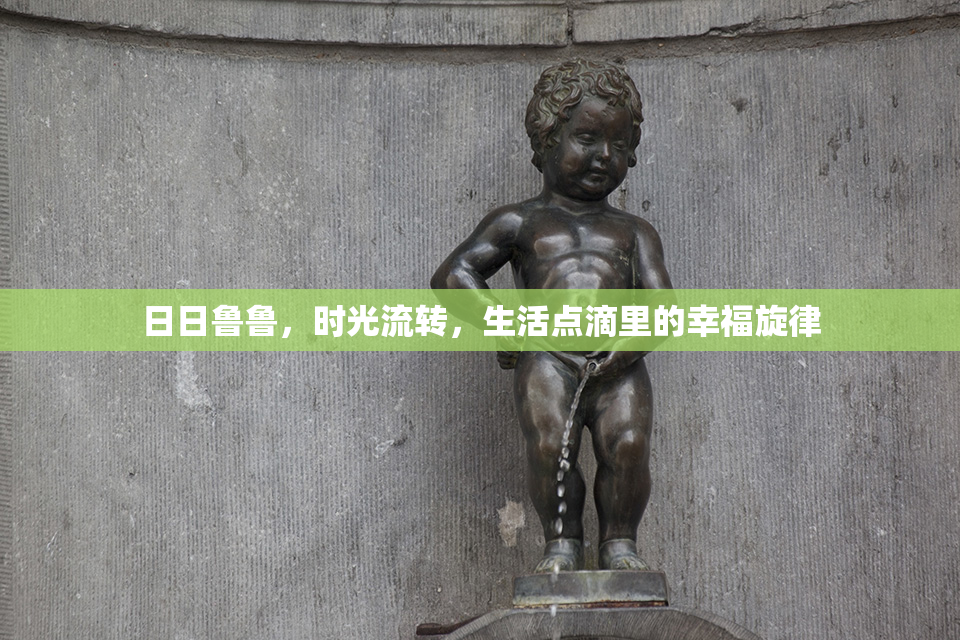 日日鲁鲁，时光流转，生活点滴里的幸福旋律