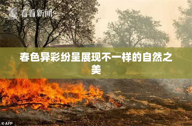 春色异彩纷呈展现不一样的自然之美