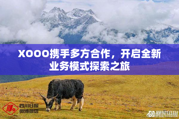 XOOO携手多方合作，开启全新业务模式探索之旅