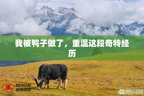 我被鸭子做了，重温这段奇特经历