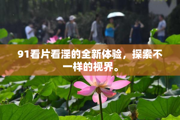 91看片看淫的全新体验，探索不一样的视界。