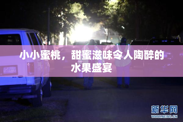 小小蜜桃，甜蜜滋味令人陶醉的水果盛宴