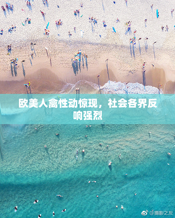 欧美人禽性动惊现，社会各界反响强烈