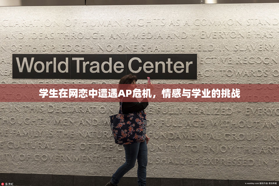 学生在网恋中遭遇AP危机，情感与学业的挑战