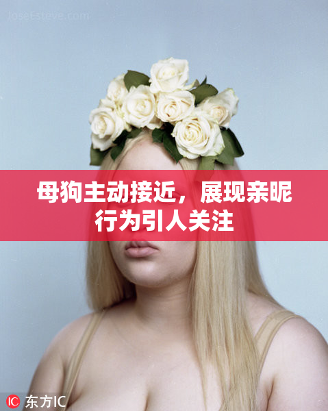 母狗主动接近，展现亲昵行为引人关注