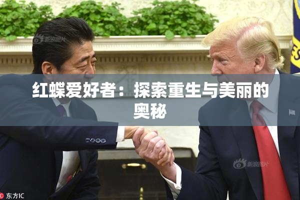 红蝶爱好者：探索重生与美丽的奥秘