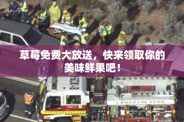 草莓免费大放送，快来领取你的美味鲜果吧！