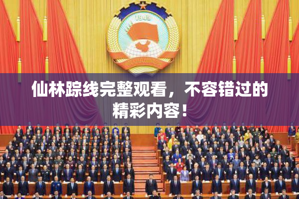 仙林踪线完整观看，不容错过的精彩内容！