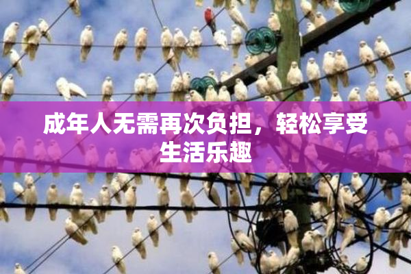 成年人无需再次负担，轻松享受生活乐趣