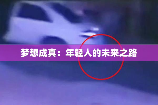 梦想成真：年轻人的未来之路