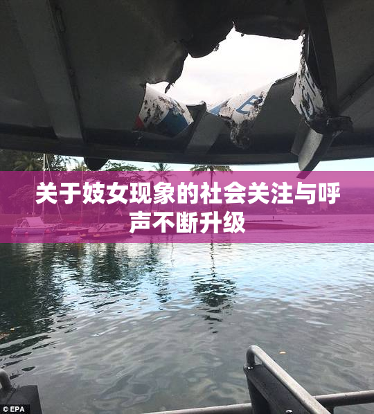 关于妓女现象的社会关注与呼声不断升级