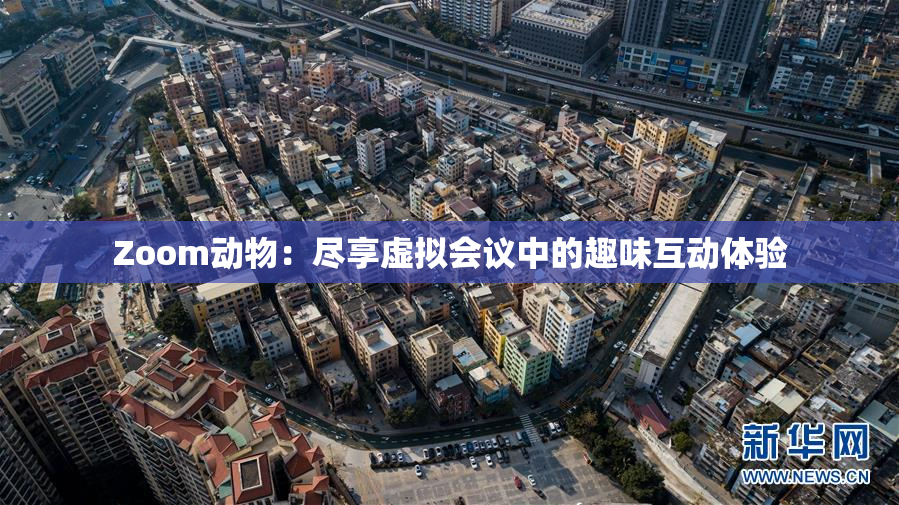 Zoom动物：尽享虚拟会议中的趣味互动体验