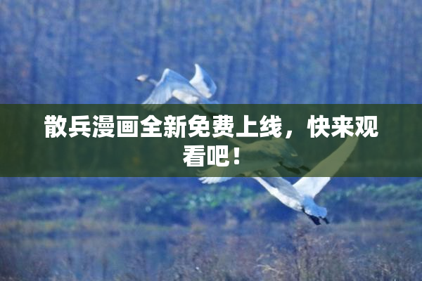 散兵漫画全新免费上线，快来观看吧！