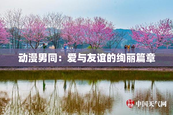 动漫男同：爱与友谊的绚丽篇章