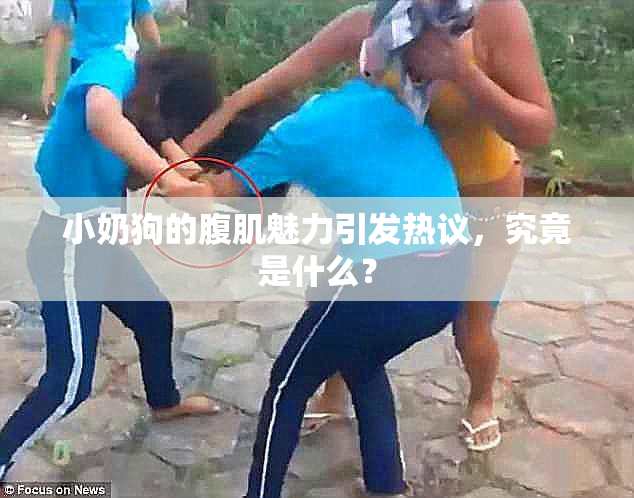 小奶狗的腹肌魅力引发热议，究竟是什么？