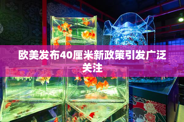 欧美发布40厘米新政策引发广泛关注