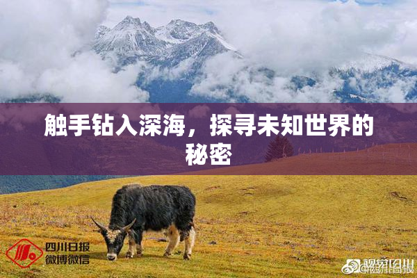 触手钻入深海，探寻未知世界的秘密