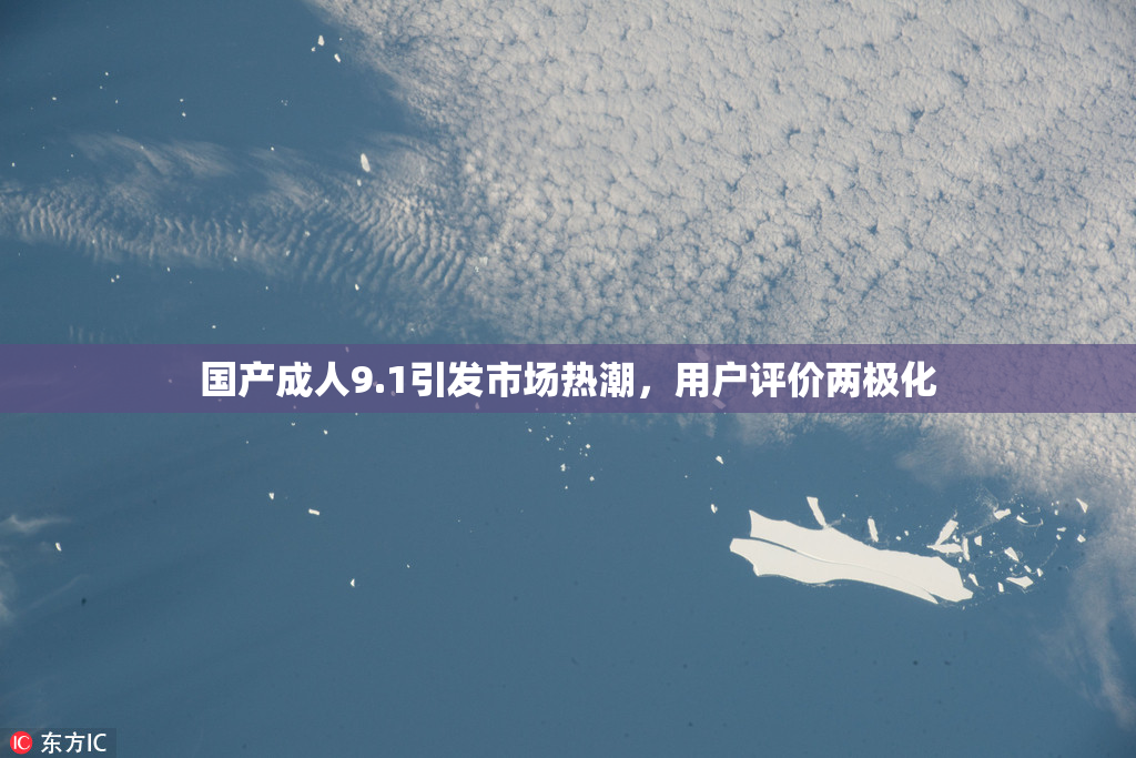 国产成人9.1引发市场热潮，用户评价两极化
