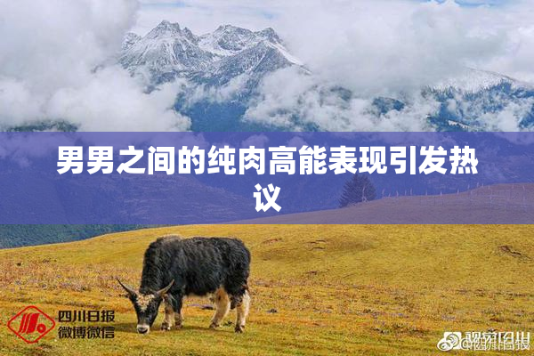 男男之间的纯肉高能表现引发热议