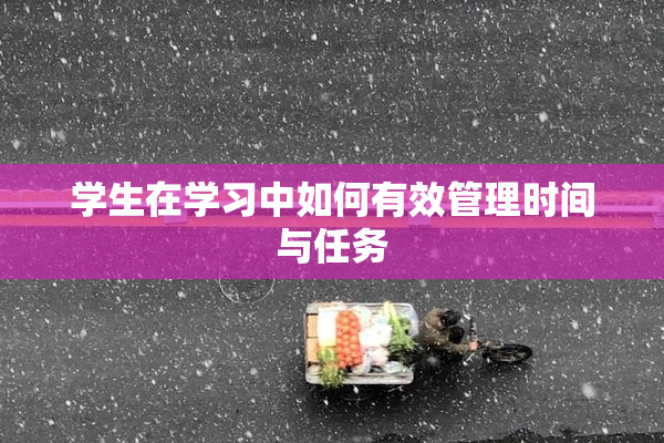 学生在学习中如何有效管理时间与任务