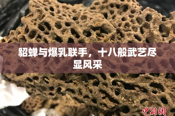 貂蝉与爆乳联手，十八般武艺尽显风采