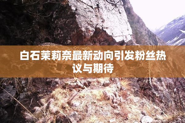 白石茉莉奈最新动向引发粉丝热议与期待