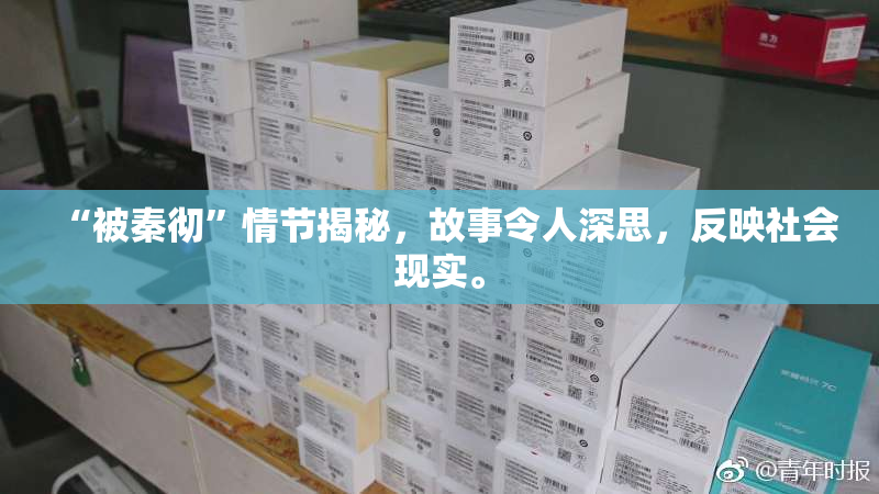 “被秦彻”情节揭秘，故事令人深思，反映社会现实。